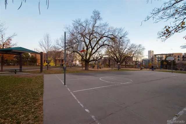 a view of a yard with a tree