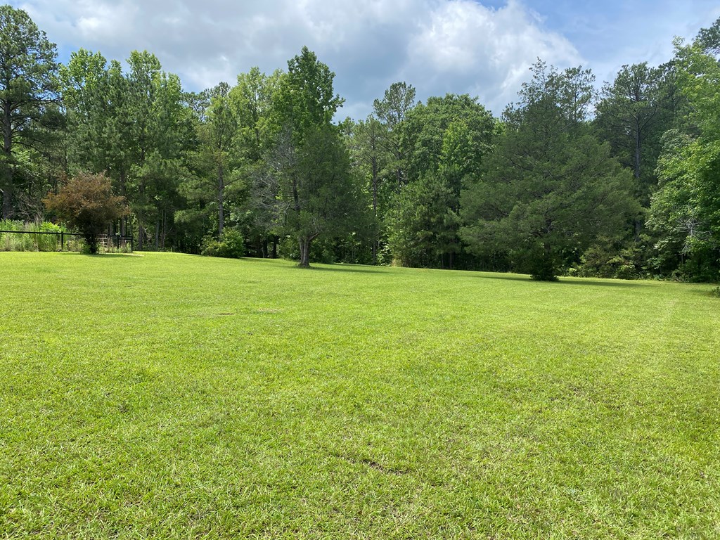 414 Airpark Road Waverly Hall, GA 31831 - Photo 7 of 38
