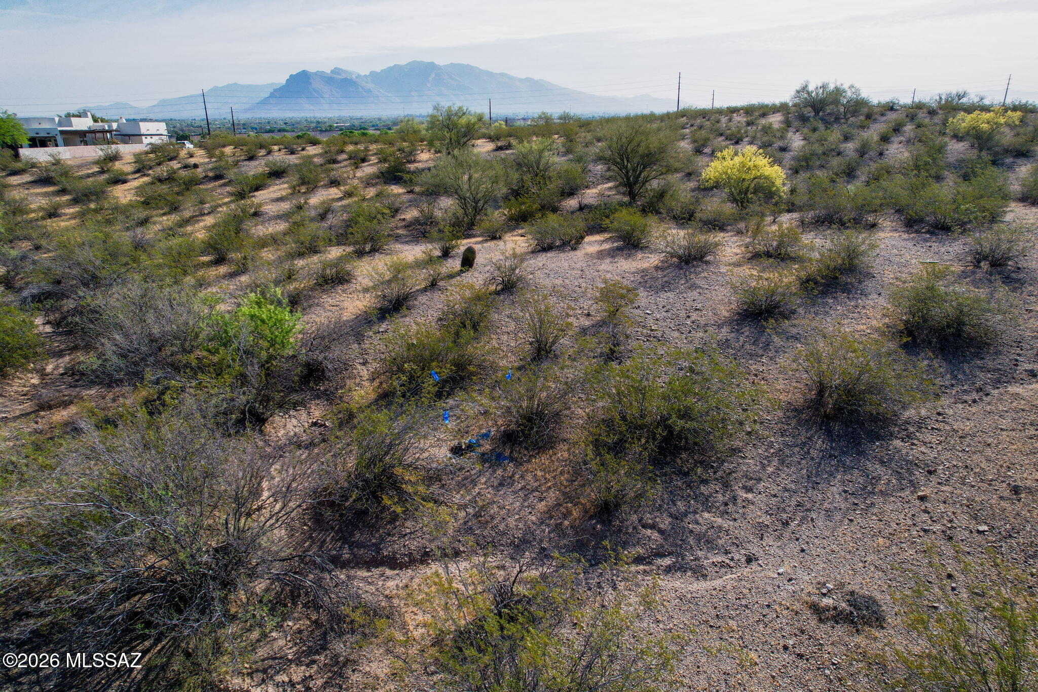 5449 North Silverbell Road Tucson, AZ 85745 - Photo 11 of 17