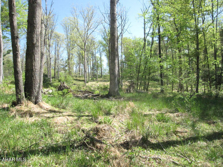Off North Silver Pine Road Petersburg, PA 16669 - Photo 17 of 29 Gallery Image 17
