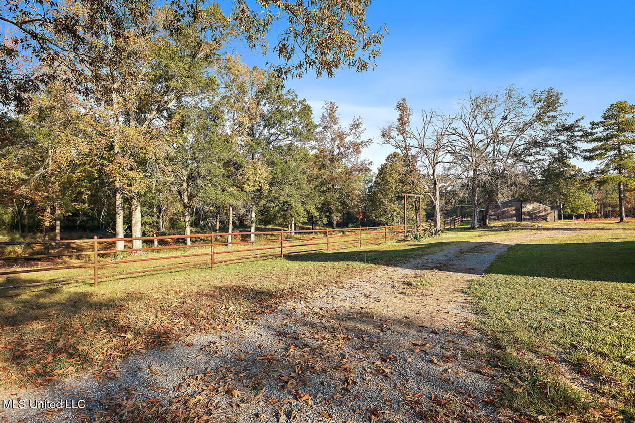 624 McCluer Road Jackson, MS 39212 - Photo 26 of 40 624 McCluer Rd (3)