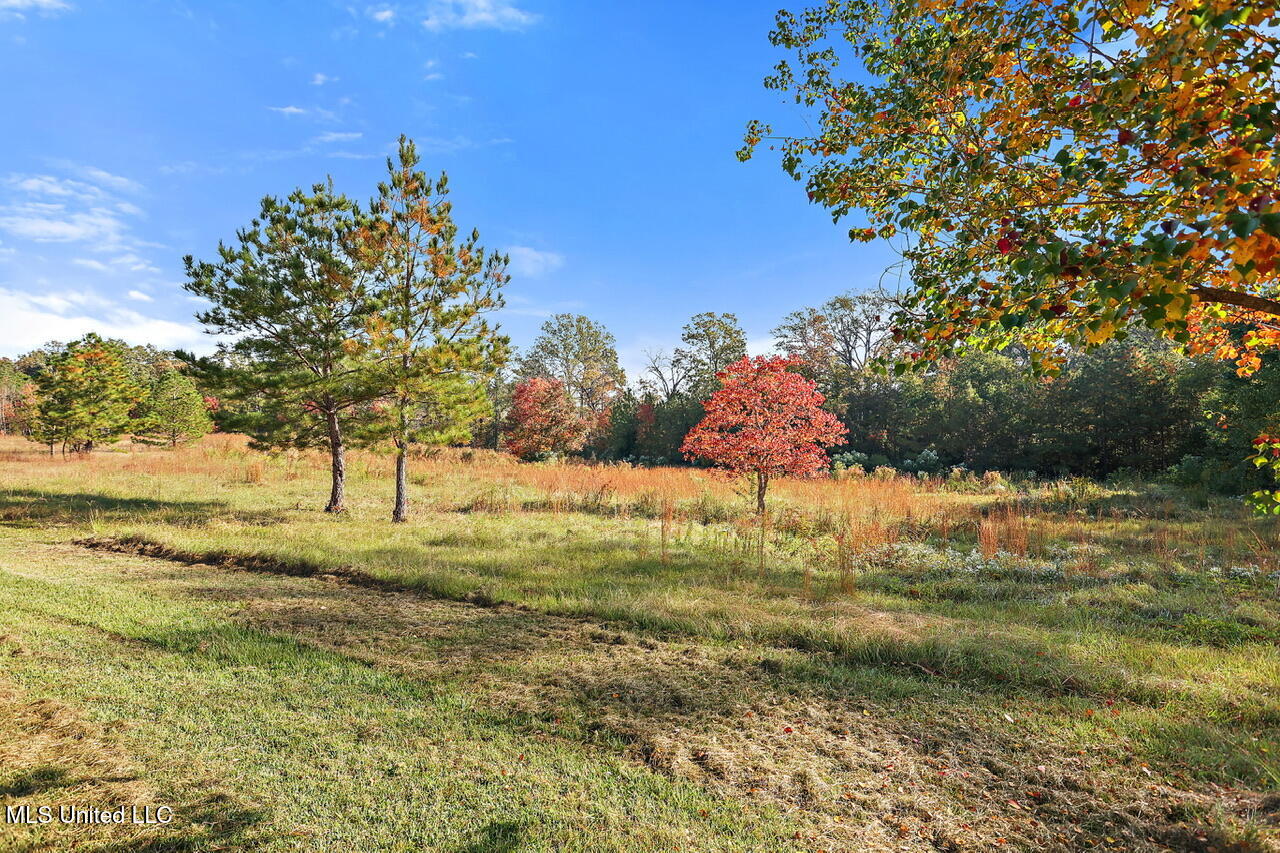 624 McCluer Road Jackson, MS 39212 - Photo 33 of 40 624 McCluer Rd (40)