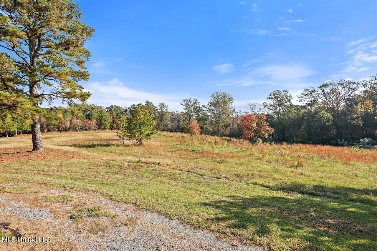 624 McCluer Road Jackson, MS 39212 - Photo 34 of 40 624 McCluer Rd (39)