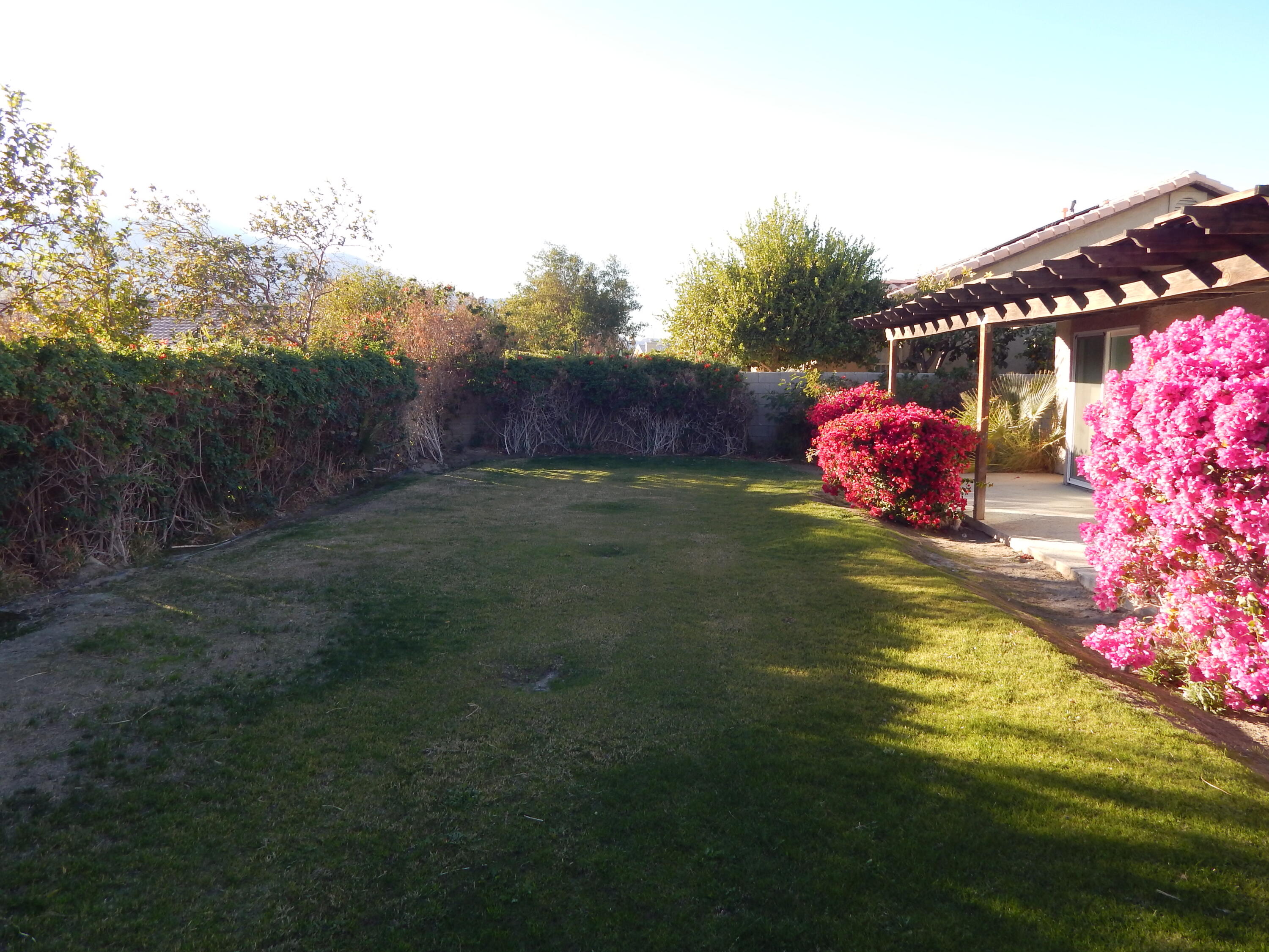 68175 Encinitas Road Cathedral City, CA 92234 - Photo 2 of 16 Back yard