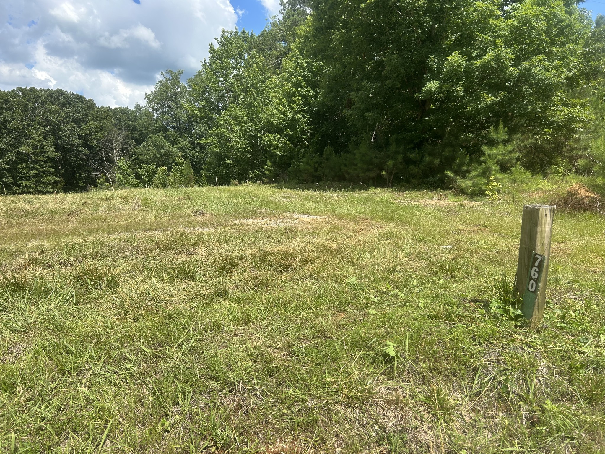 760 Chestnut Hill Road Eva, TN 38333 - Photo 4 of 10