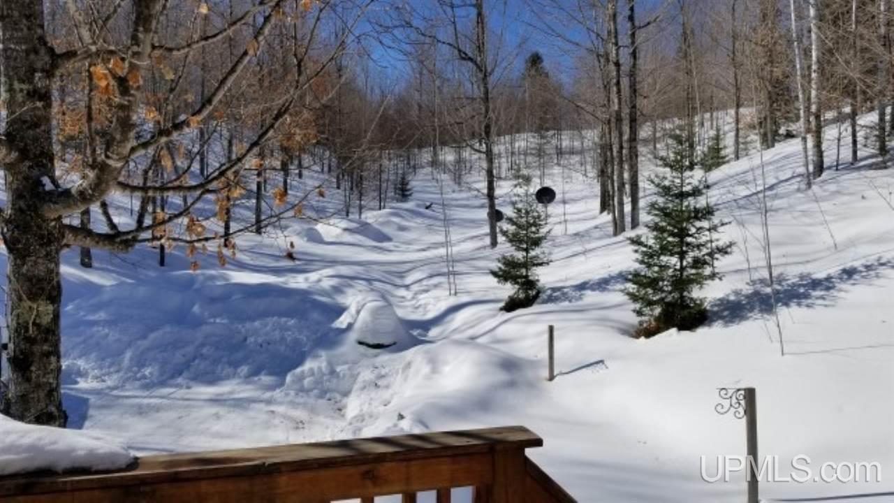 1226 Camp 5 Road Crystal Falls, MI 49920 - Photo 27 of 36 Gallery Image 27