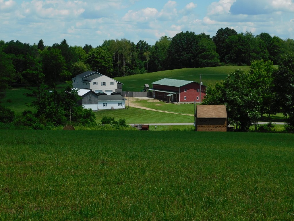 261 Curran Road Emlenton, PA 16373 - Photo 3 of 69 Gallery Image 3