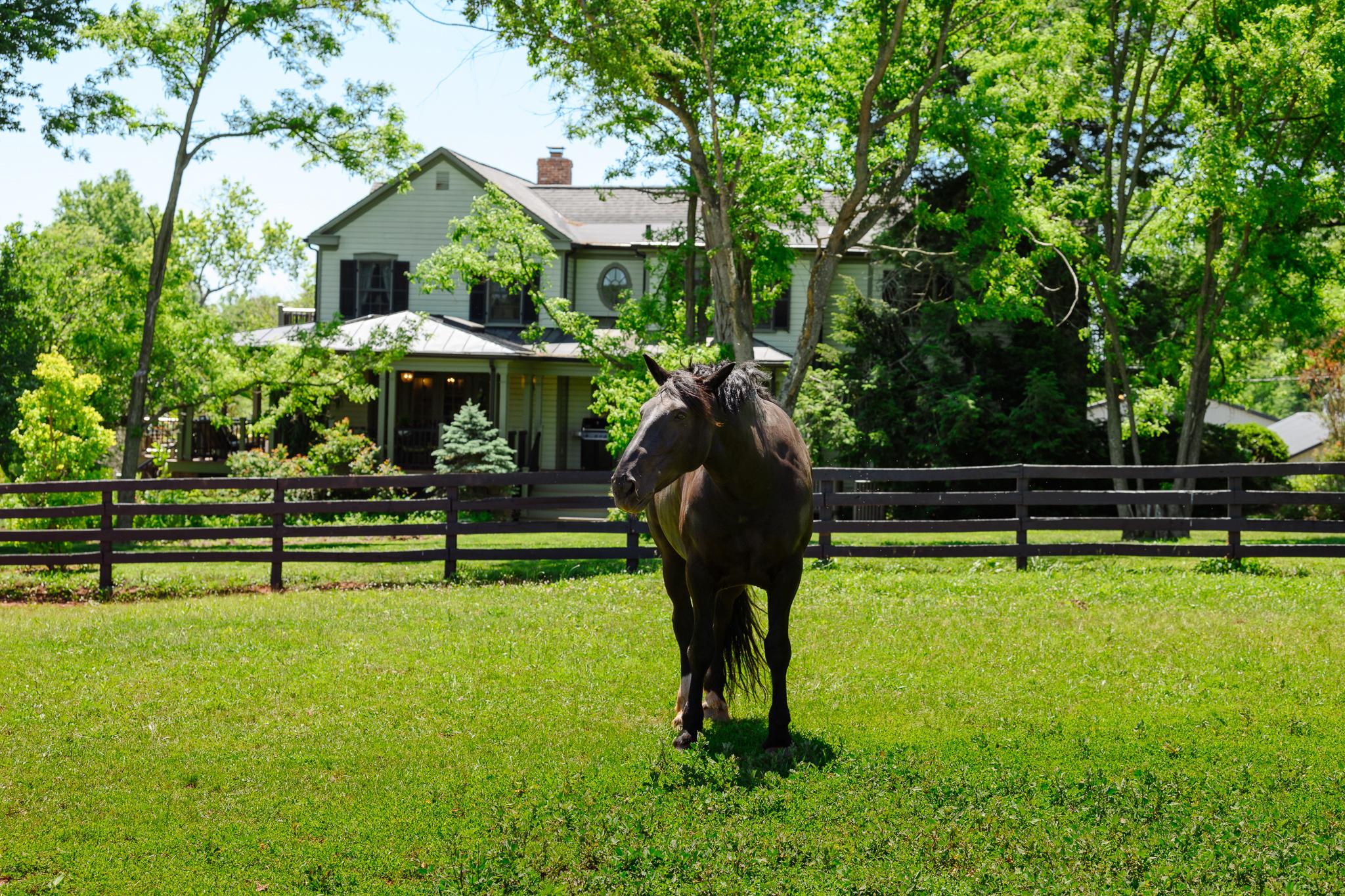 18101 Cattail Road Poolesville, MD 20837 - Photo 34 of 79 Mac living the dream!
