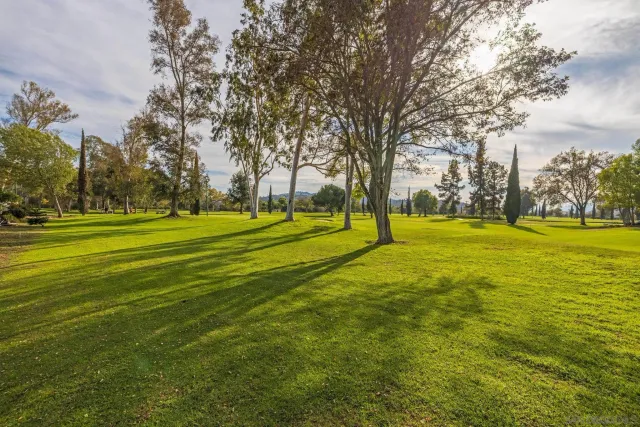 a view of a space with big trees