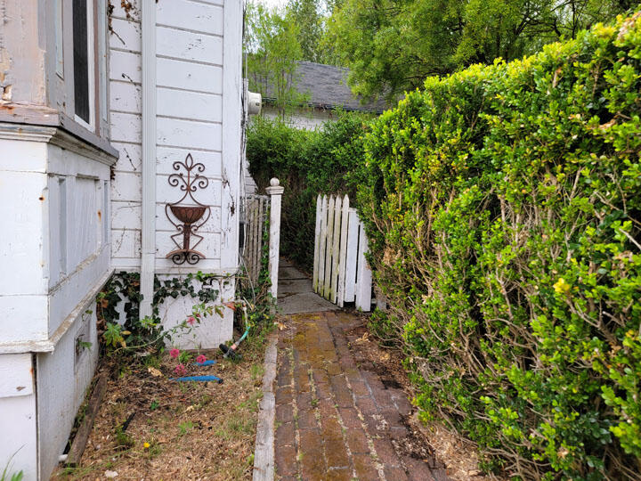 120 13th Street Arcata, CA 95521 - Photo 20 of 37 a view of a yard of the house