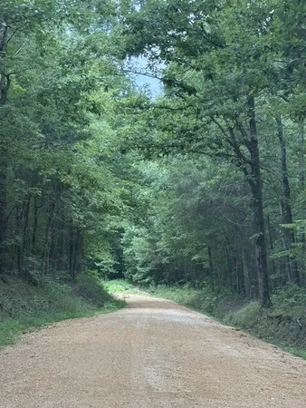 $115,000 | 0 Old State Highway 69, Sugar Tree, TN 38380