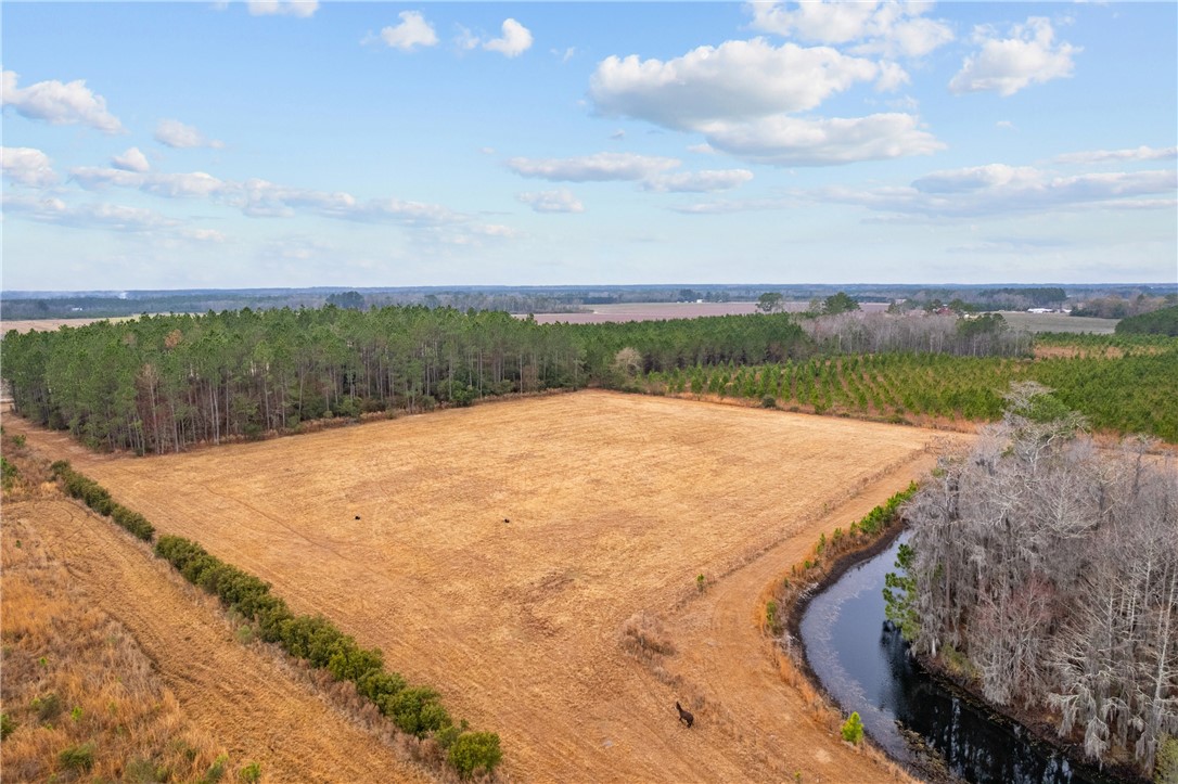 Tbd Trudie Road Blackshear, GA 31516 - Photo 14 of 32