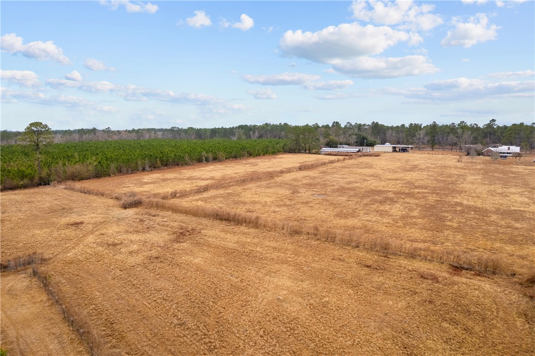 Tbd Trudie Road Blackshear, GA 31516 - Photo 15 of 32