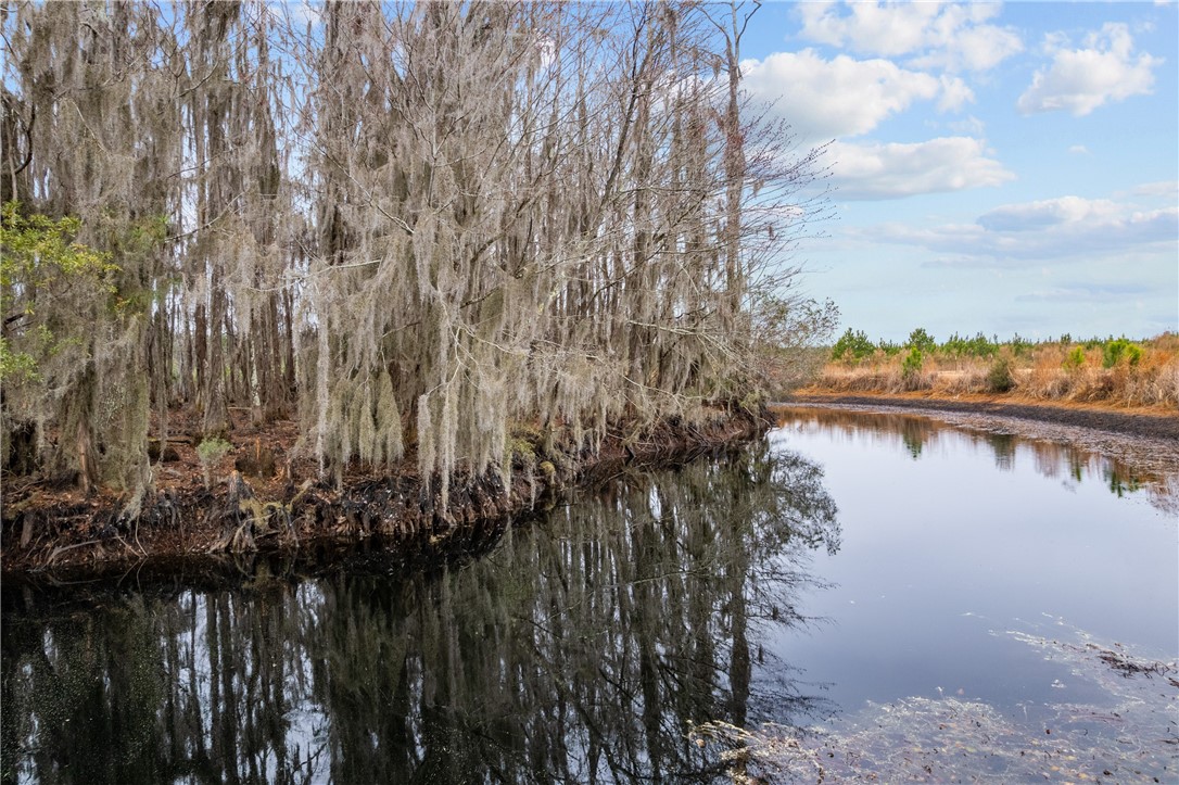 Tbd Trudie Road Blackshear, GA 31516 - Photo 16 of 32