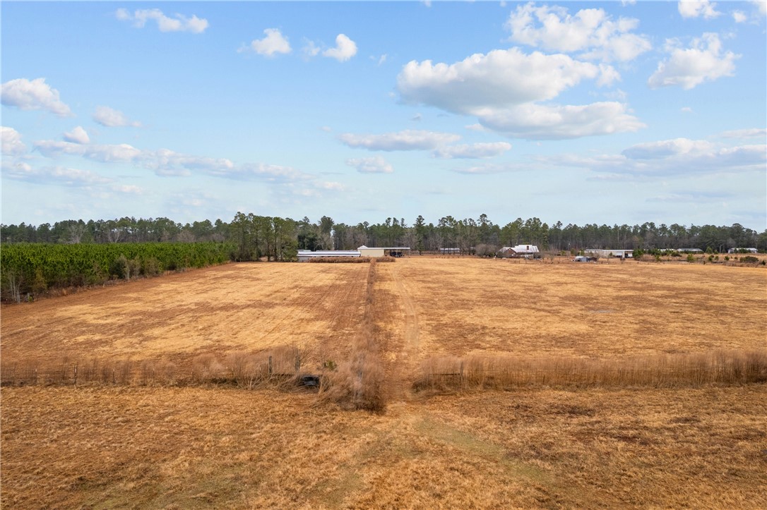 Tbd Trudie Road Blackshear, GA 31516 - Photo 17 of 32