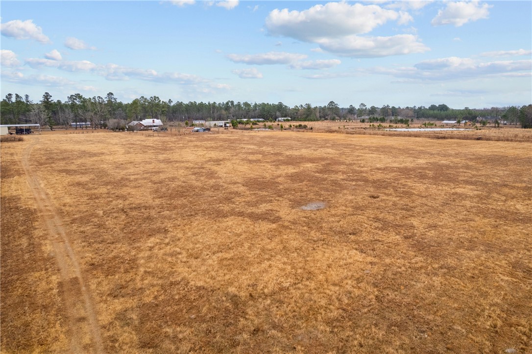 Tbd Trudie Road Blackshear, GA 31516 - Photo 18 of 32