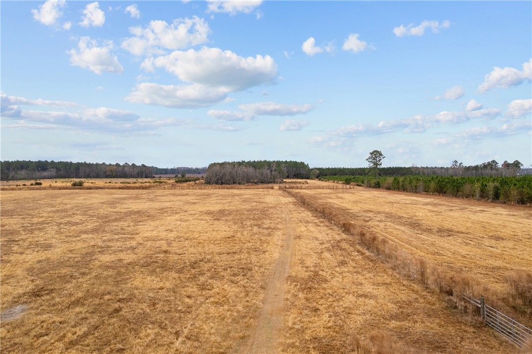 Tbd Trudie Road Blackshear, GA 31516 - Photo 21 of 32