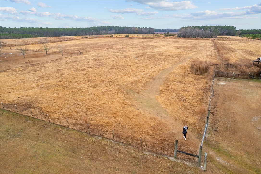Tbd Trudie Road Blackshear, GA 31516 - Photo 22 of 32