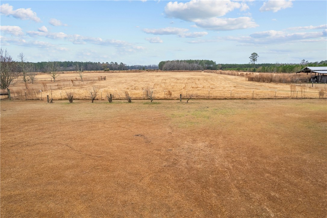 Tbd Trudie Road Blackshear, GA 31516 - Photo 23 of 32