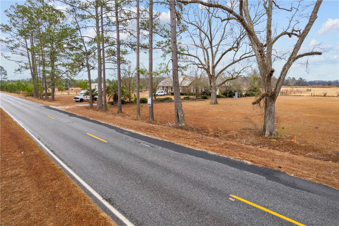 Tbd Trudie Road Blackshear, GA 31516 - Photo 25 of 32