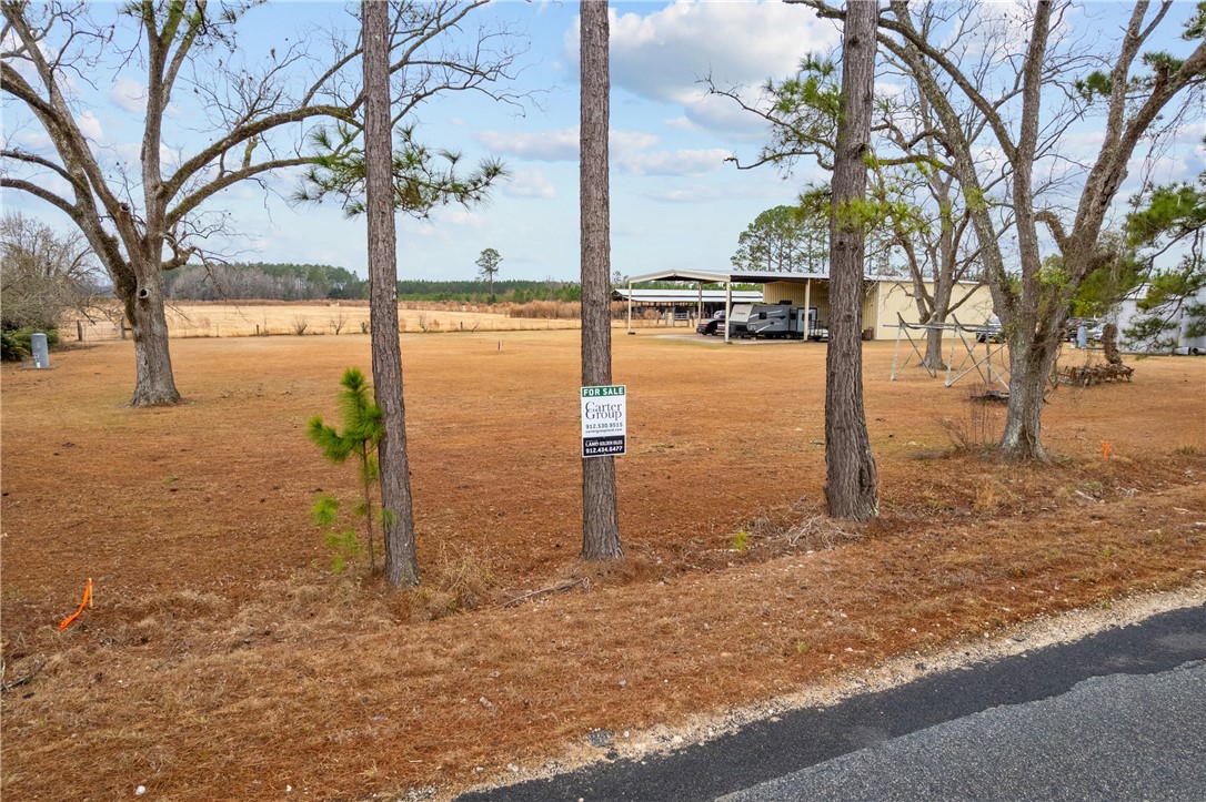 Tbd Trudie Road Blackshear, GA 31516 - Photo 26 of 32
