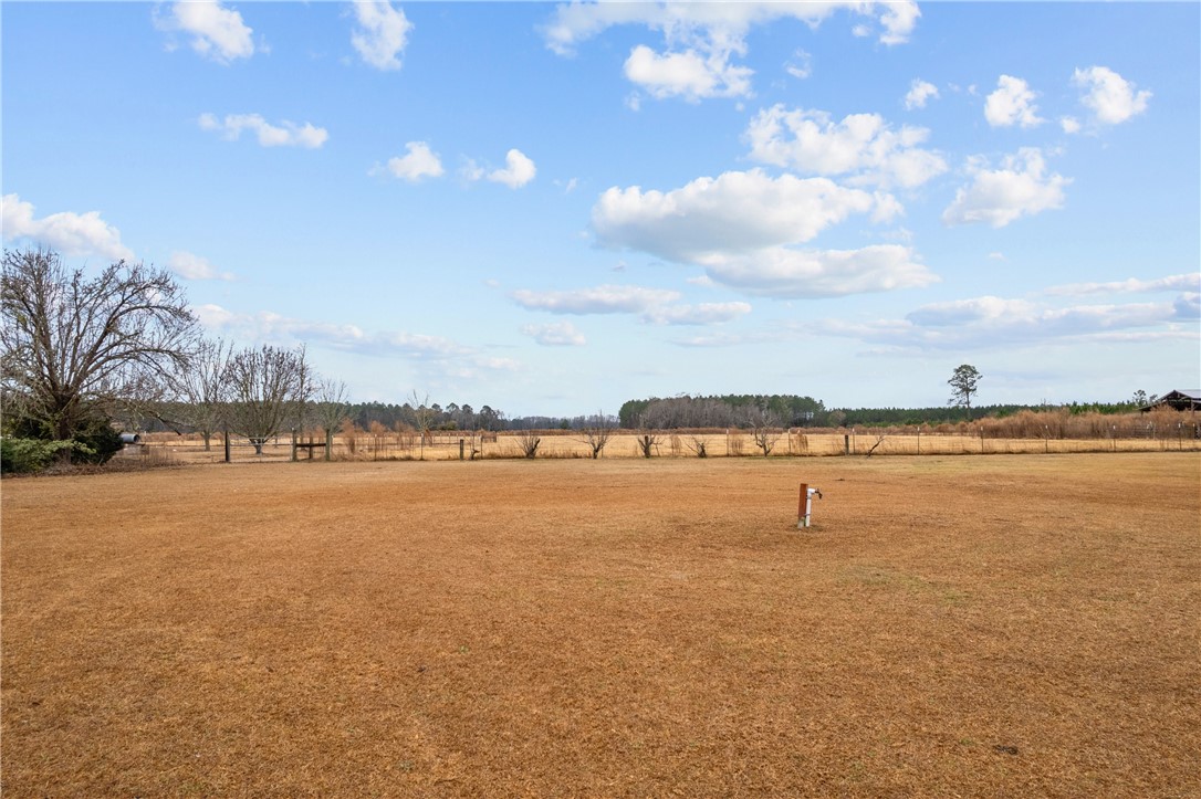 Tbd Trudie Road Blackshear, GA 31516 - Photo 28 of 32