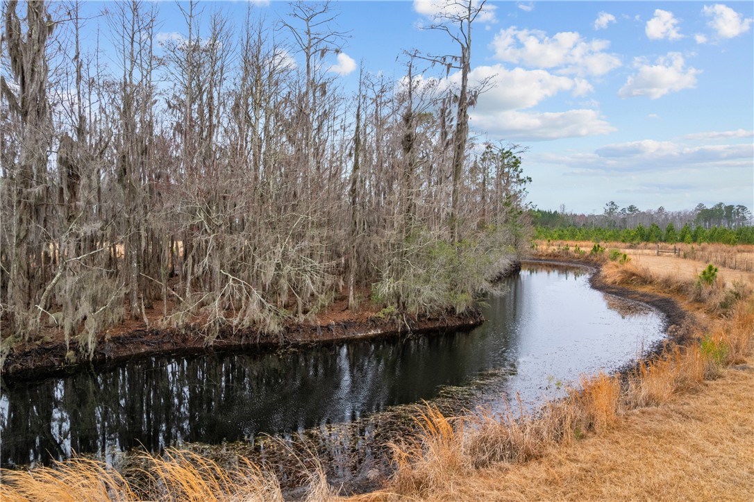Tbd Trudie Road Blackshear, GA 31516 - Photo 30 of 32