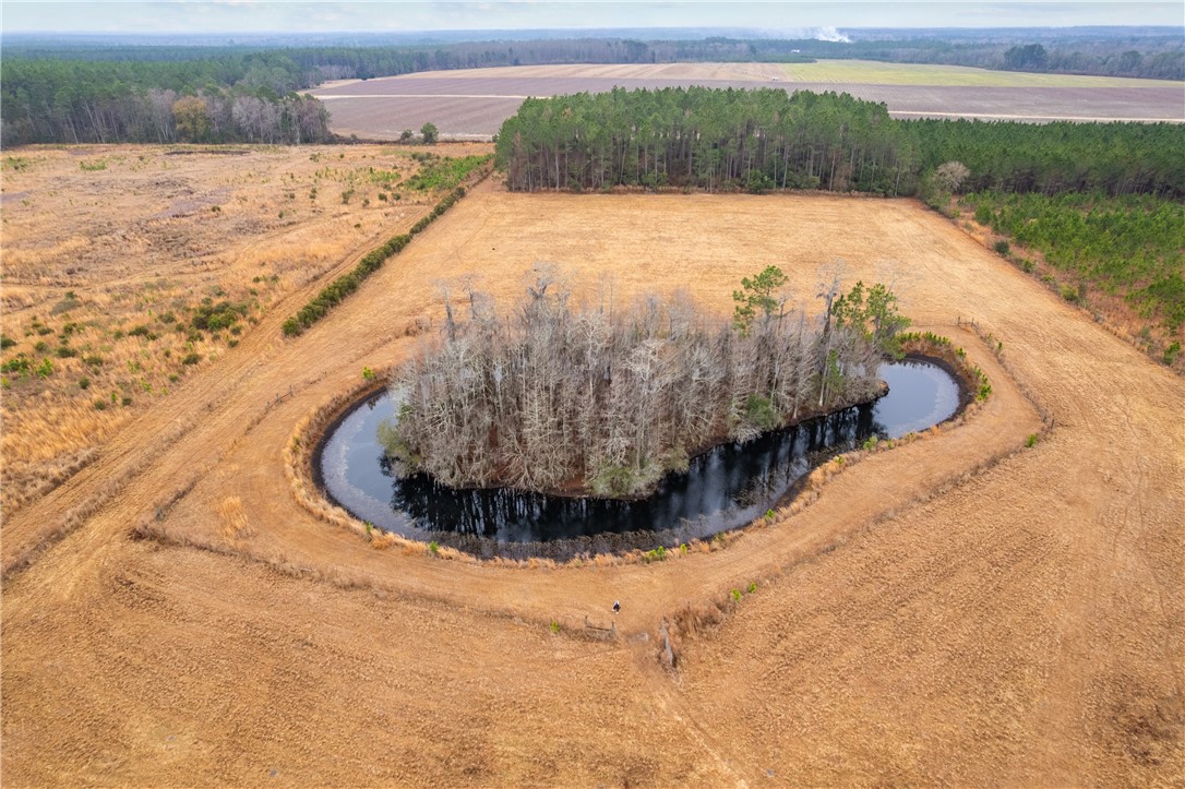 Tbd Trudie Road Blackshear, GA 31516 - Photo 32 of 32