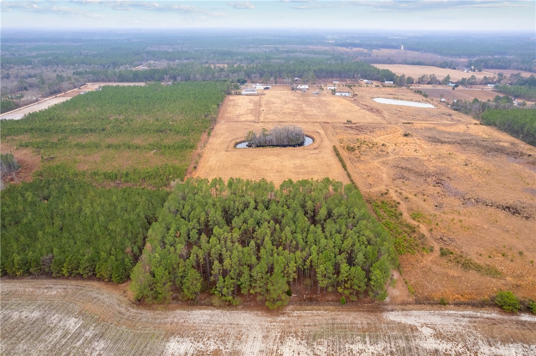 Tbd Trudie Road Blackshear, GA 31516 - Photo 4 of 32