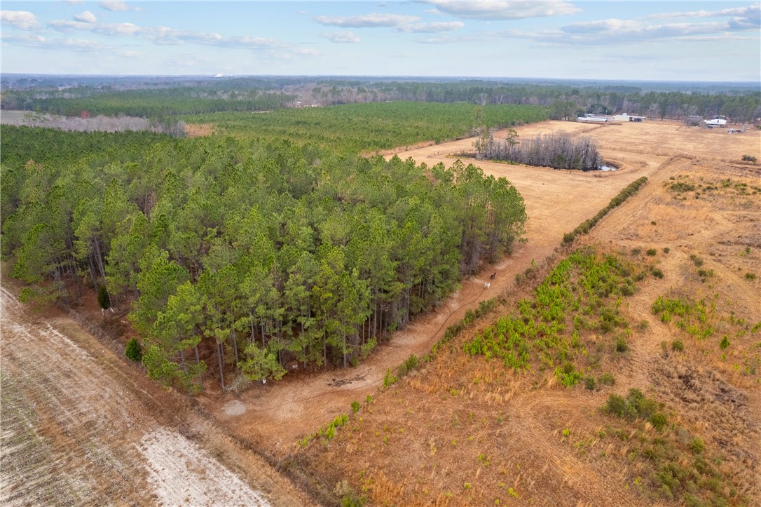 Tbd Trudie Road Blackshear, GA 31516 - Photo 6 of 32