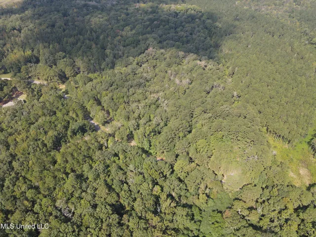 $195,000 | Daughdrill Road, Silver Creek, MS 39663