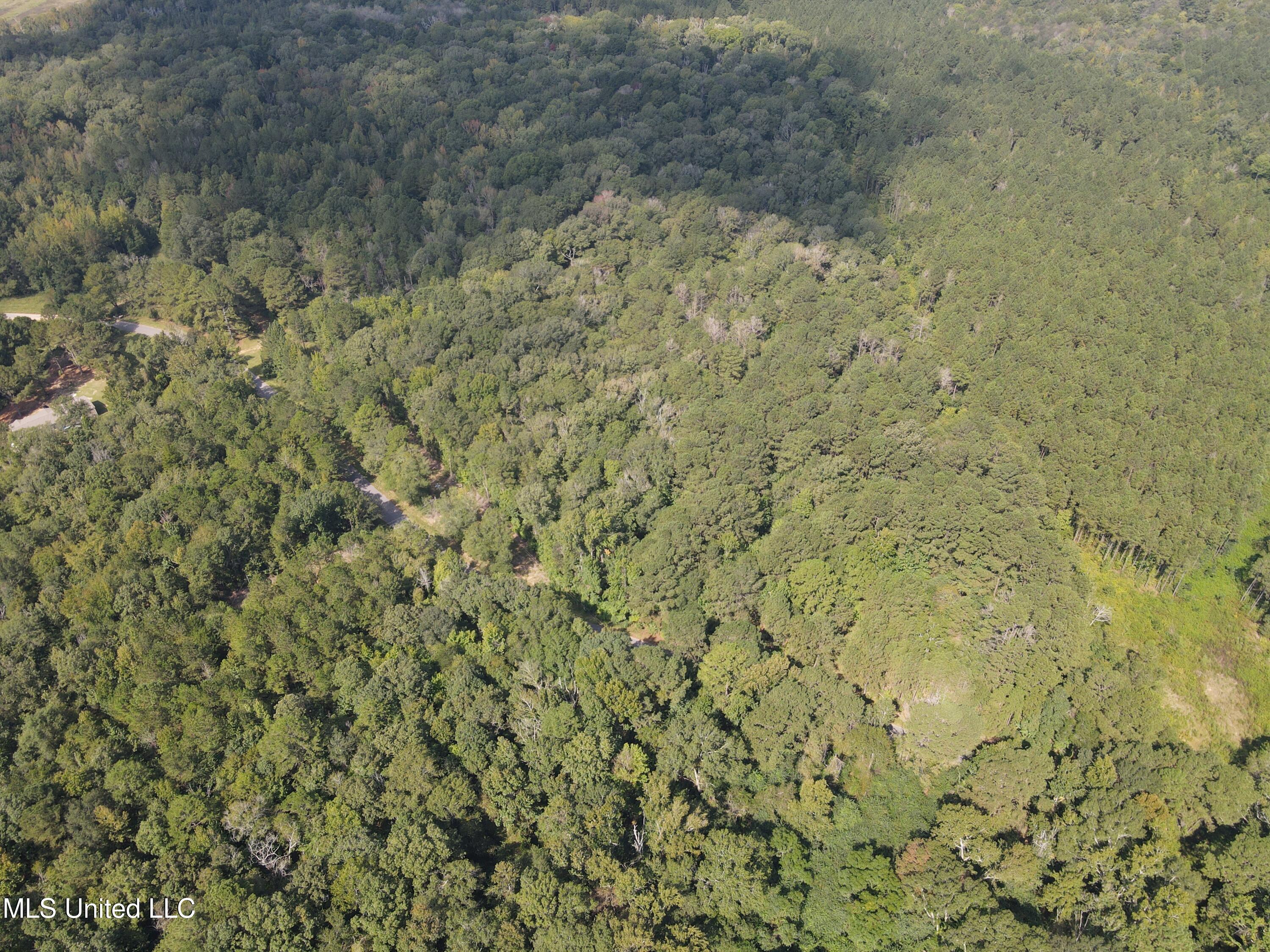 Daughdrill Road Silver Creek, MS 39663 - Photo 16 of 72 dji_fly_20250904_104426_791_175700070748