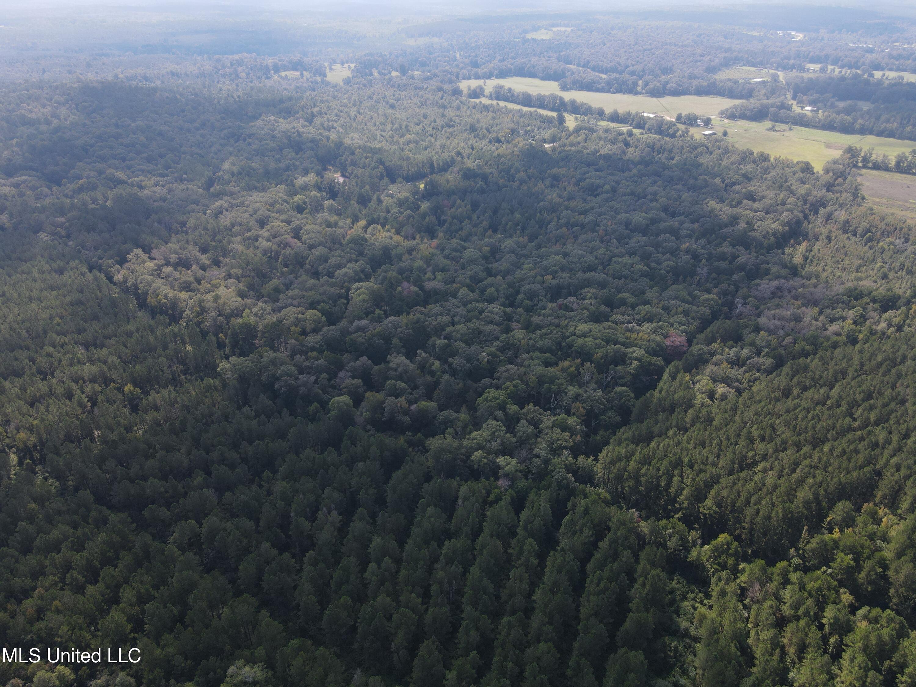 Daughdrill Road Silver Creek, MS 39663 - Photo 18 of 72 dji_fly_20250904_104750_797_175700091931
