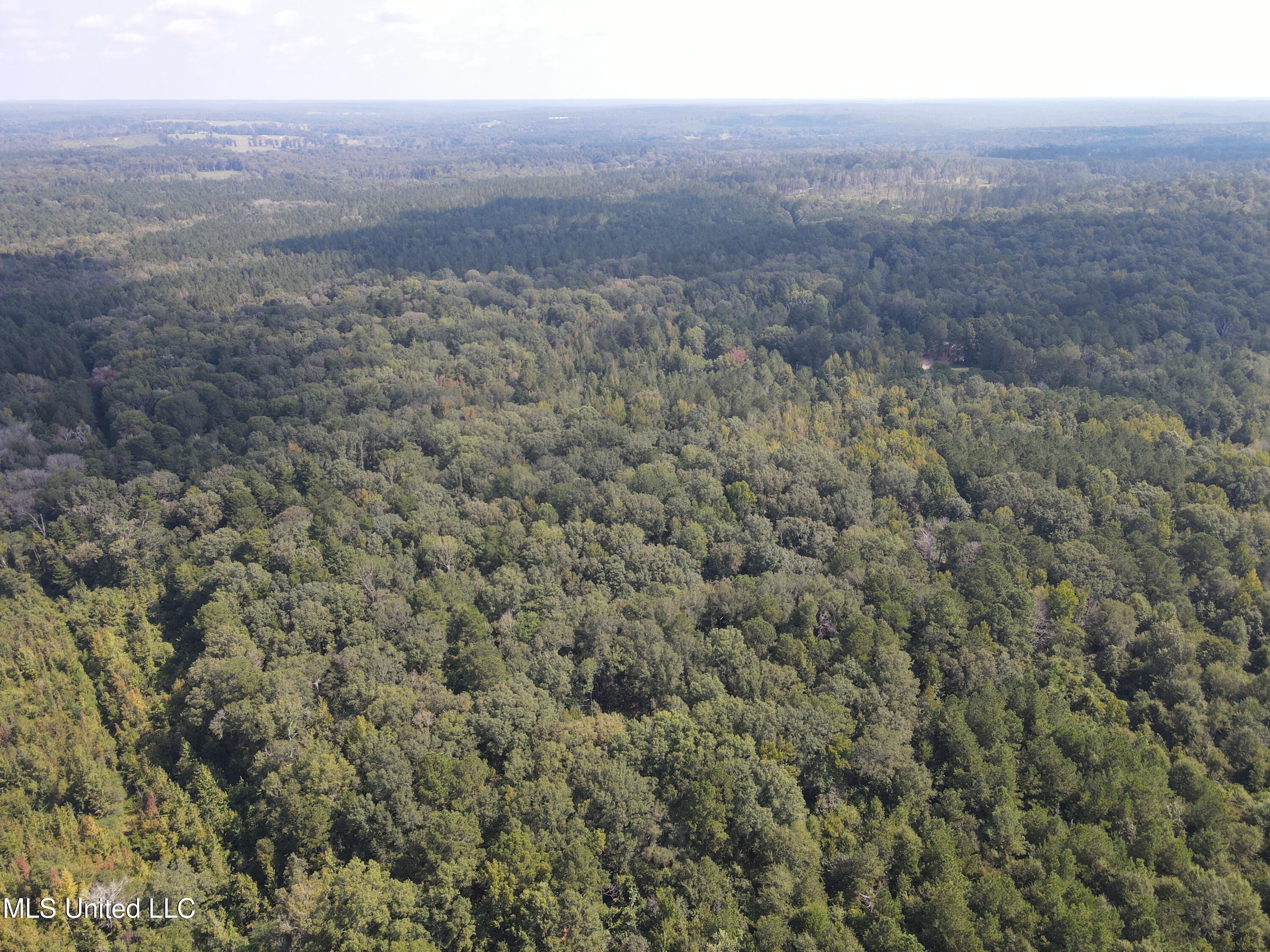 Daughdrill Road Silver Creek, MS 39663 - Photo 19 of 72 dji_fly_20250904_104942_799_175700111121