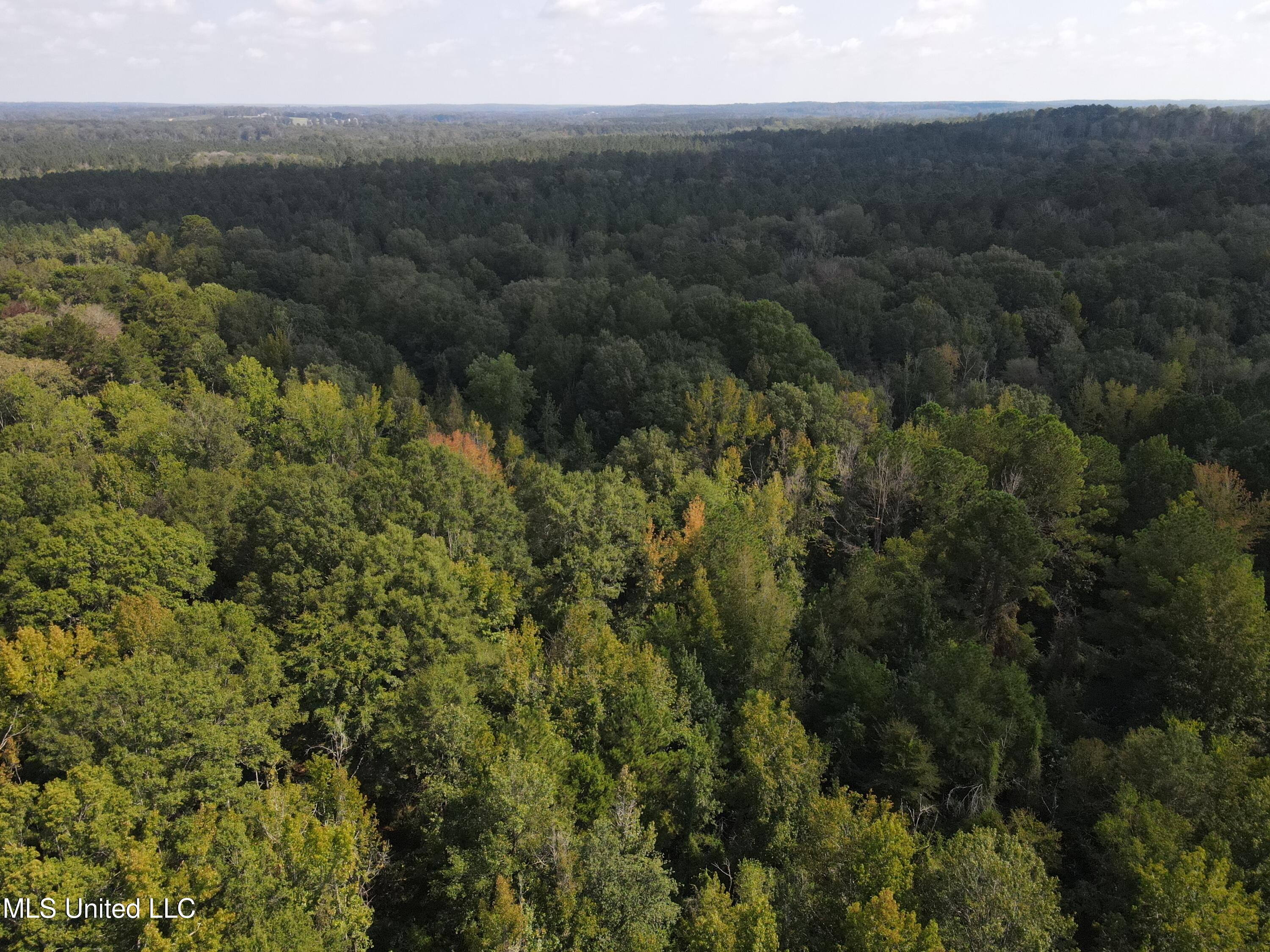 Daughdrill Road Silver Creek, MS 39663 - Photo 20 of 72 dji_fly_20250904_105158_801_175700113345
