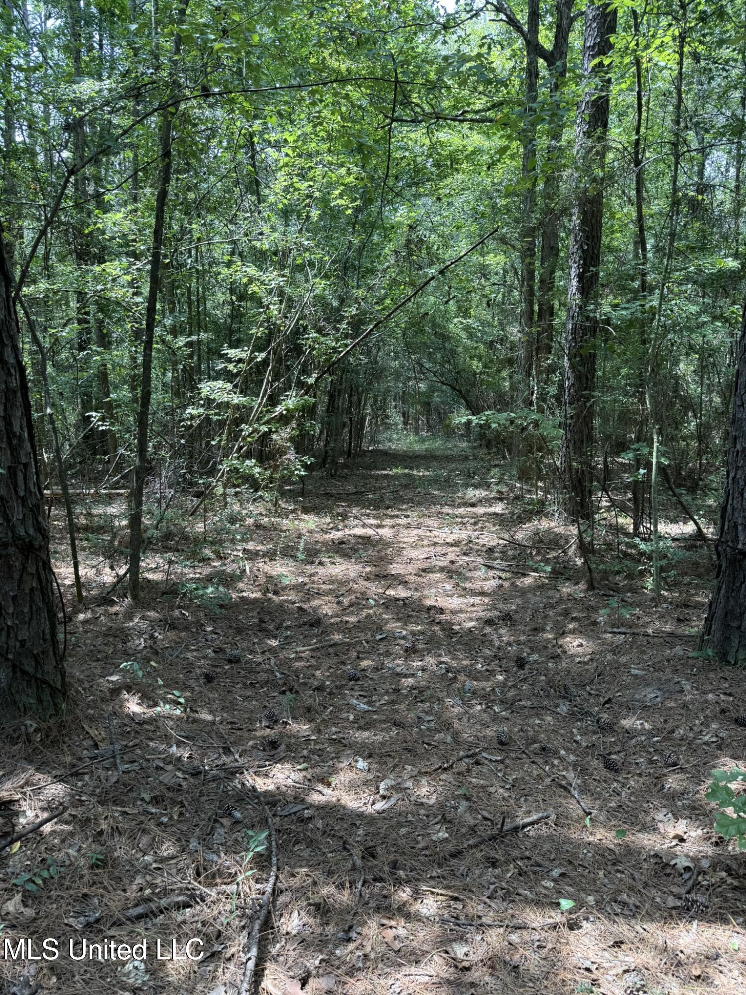 Daughdrill Road Silver Creek, MS 39663 - Photo 23 of 72 IMG_7541