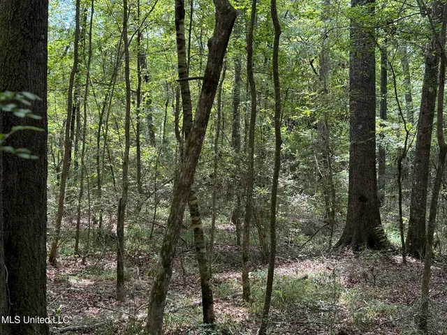 $195,000 | Daughdrill Road, Silver Creek, MS 39663