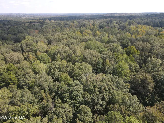 $195,000 | Daughdrill Road, Silver Creek, MS 39663