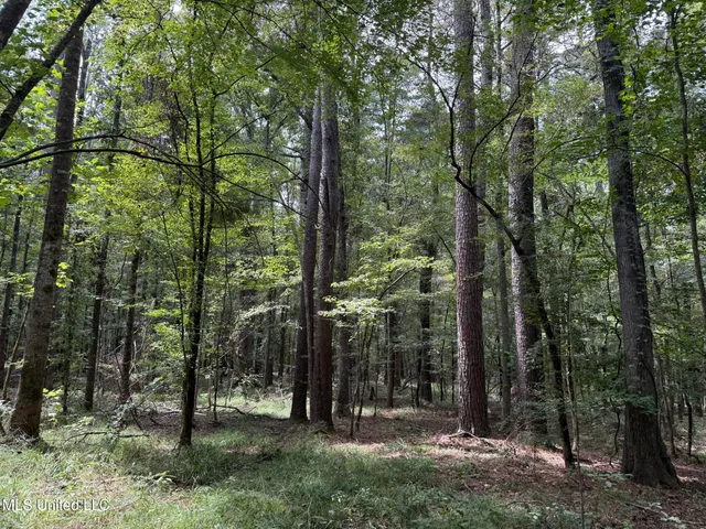 $195,000 | Daughdrill Road, Silver Creek, MS 39663