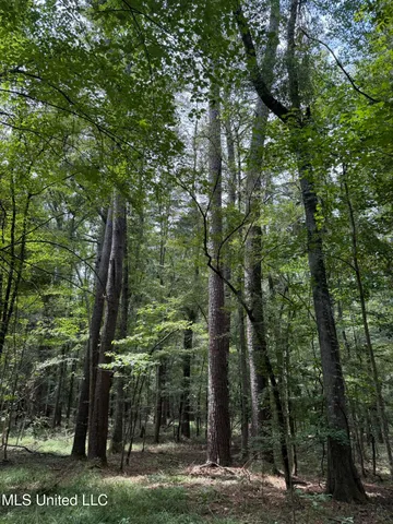 $195,000 | Daughdrill Road, Silver Creek, MS 39663