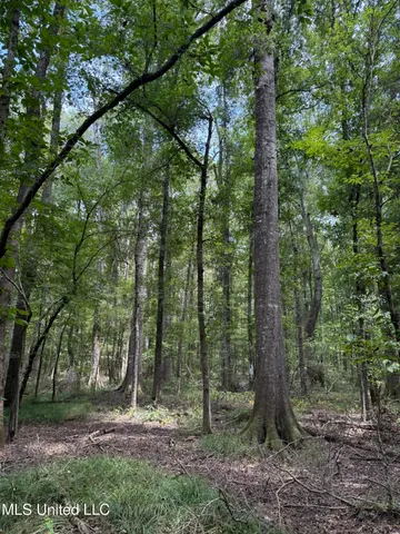 $195,000 | Daughdrill Road, Silver Creek, MS 39663