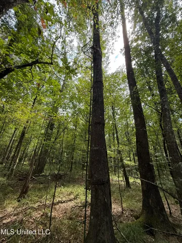 $195,000 | Daughdrill Road, Silver Creek, MS 39663