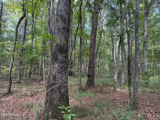 $195,000 | Daughdrill Road, Silver Creek, MS 39663