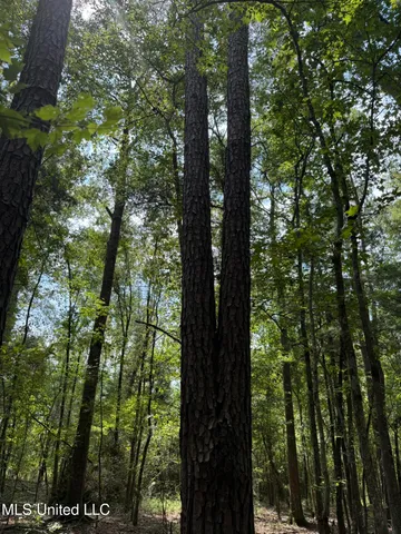 $195,000 | Daughdrill Road, Silver Creek, MS 39663