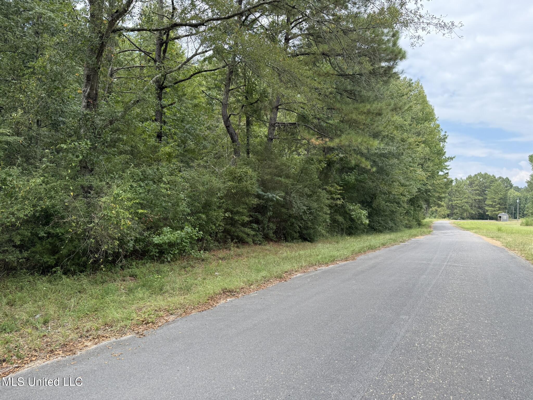 Daughdrill Road Silver Creek, MS 39663 - Photo 70 of 72 IMG_7611