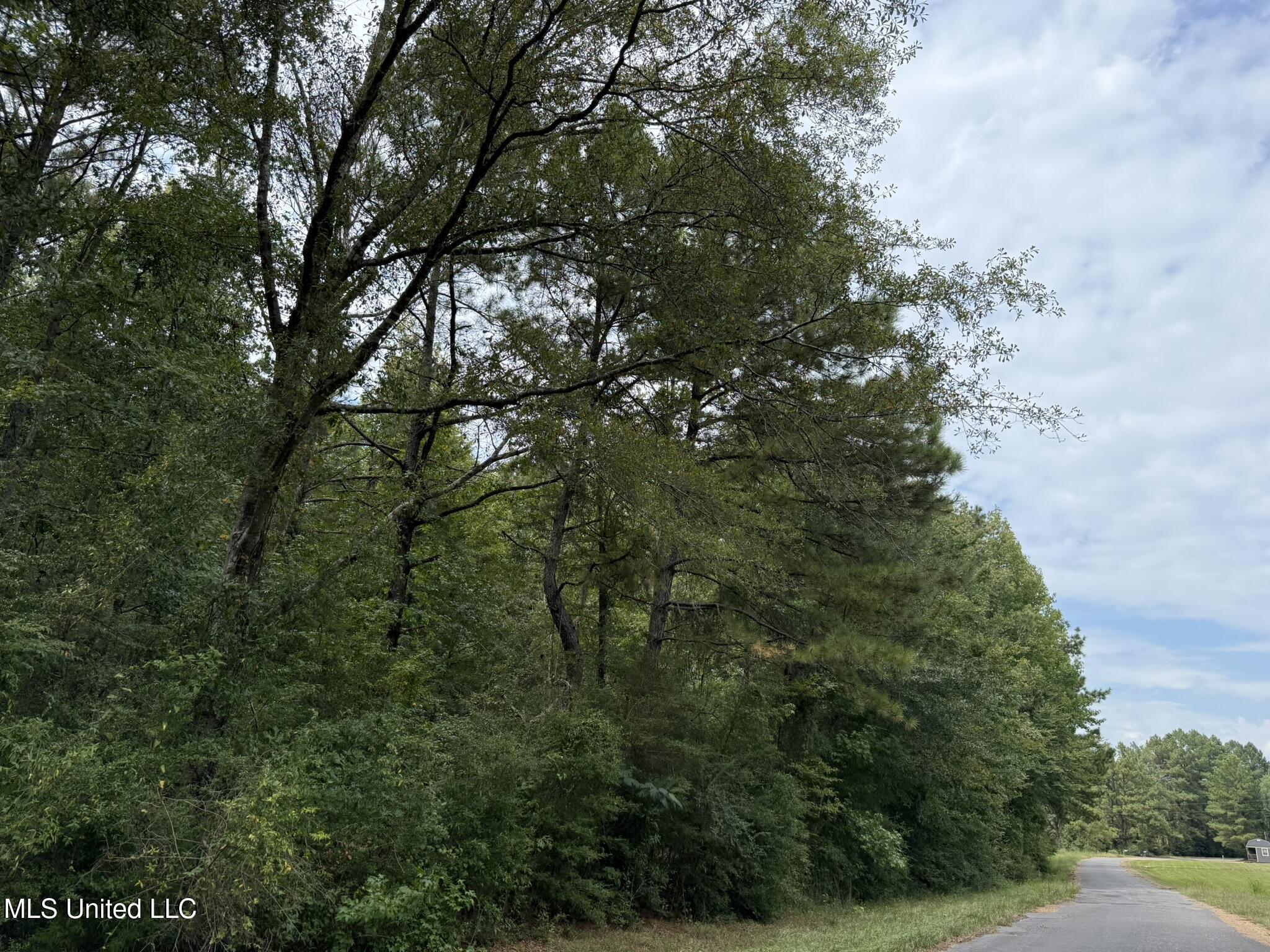 Daughdrill Road Silver Creek, MS 39663 - Photo 71 of 72 IMG_7612