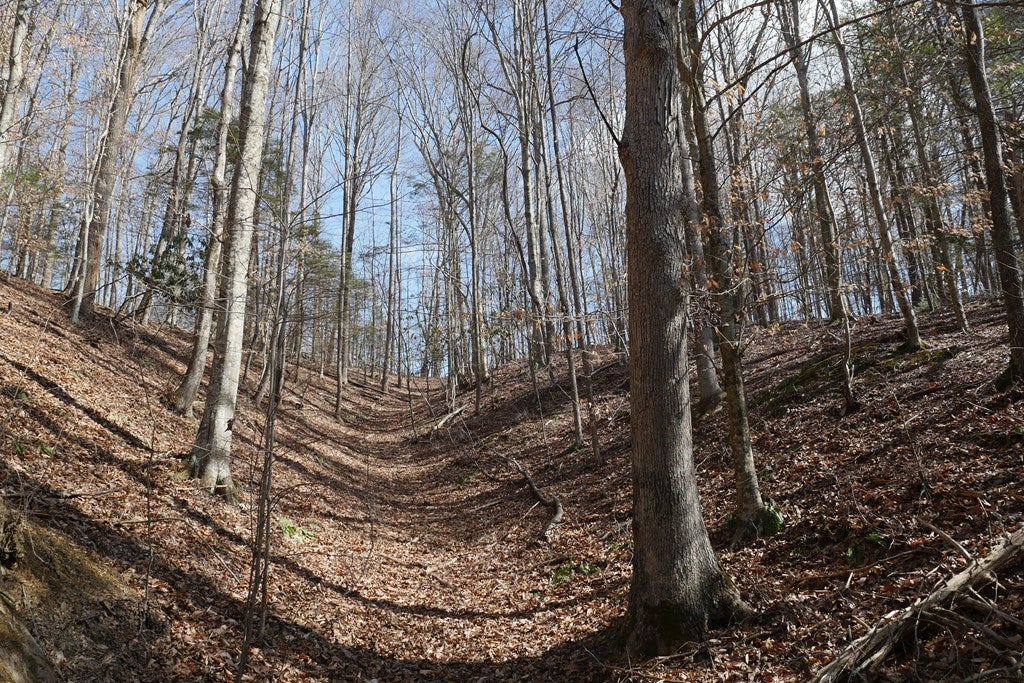 Tbd Rush Creek Road Glade Spring, VA 24340 - Photo 37 of 69 Gallery Image 37