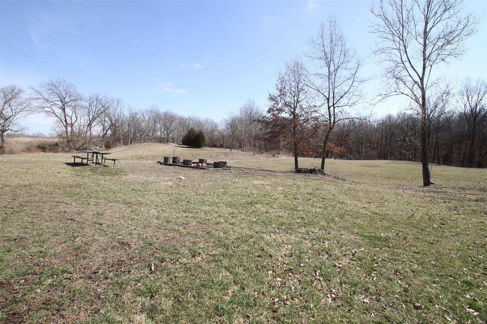 115 Schoeneman Road Shipman, IL 62685 - Photo 6 of 38