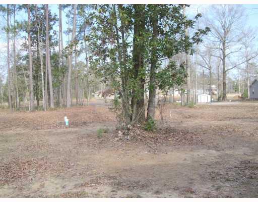 20163 Sister's Road Ponchatoula, LA 70454 - Photo 10 of 12 Gallery Image 10