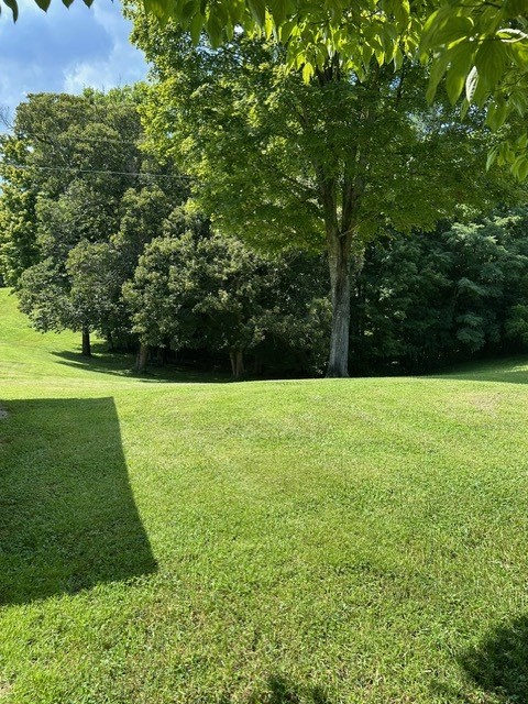 397 Star Point Road Celina, TN 38551 - Photo 35 of 59 Gallery Image 35